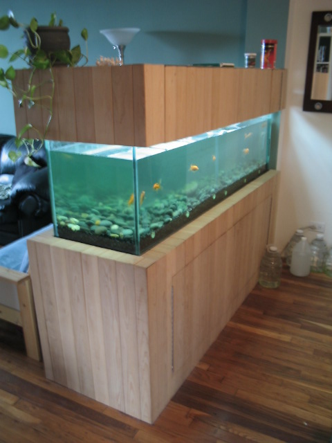 100 gallon fish tank. 